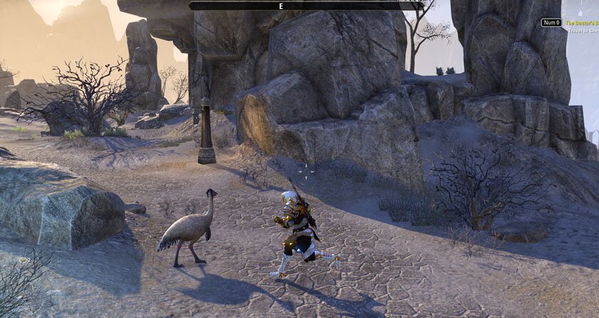 Elder Scrolls Online ESO Small Things